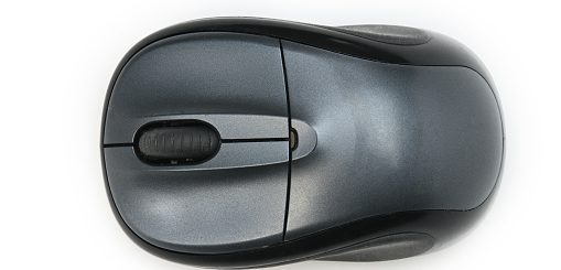 Are you in doubt whether to buy a mouse with a trackball