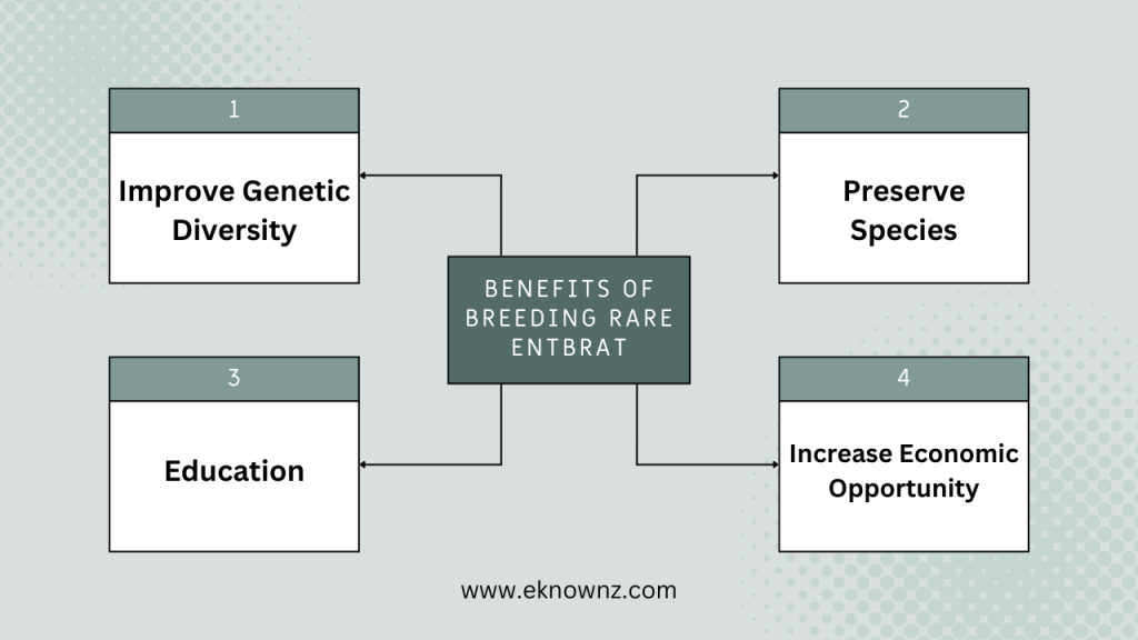 Benefits of Breeding Rare Entbrat