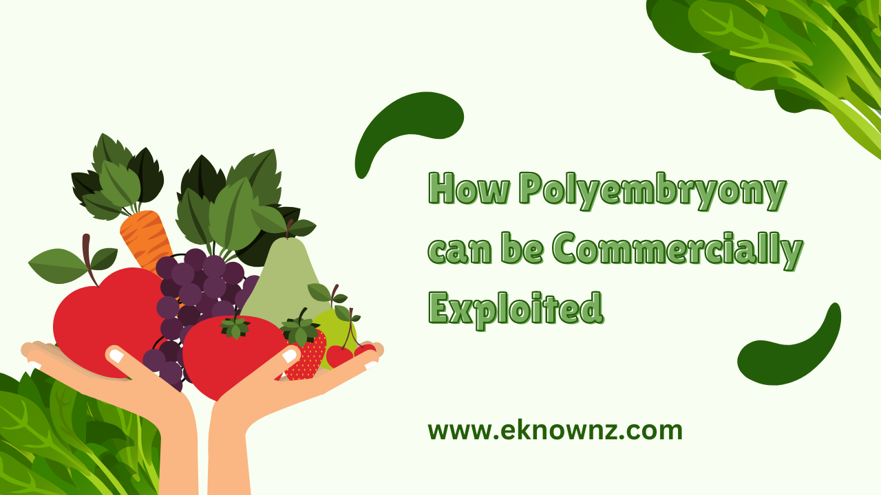 How Polyembryony can be Commercially Exploited