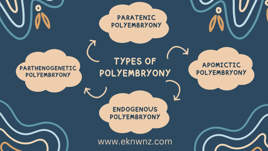Types of Polyembryony