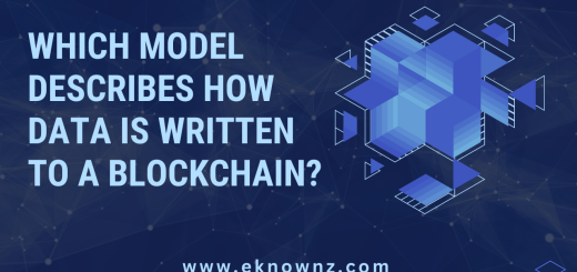 Which Model Describes How Data is Written to a Blockchain