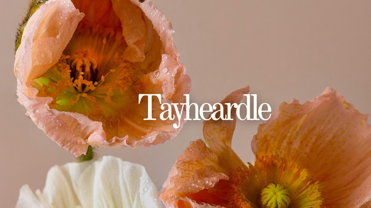 Tayheardle: Ultimate Taylor Swift Music Game Guide