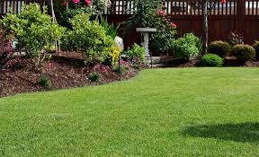 A Better Lawn Without the Headache: Simple Improvements That Actually Work 7 image 2026 04 15T053312.228